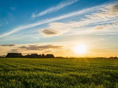  Danska je jedina evropska zemlja bez planina 