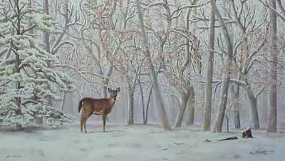  test inteligencije jelen u šumi 