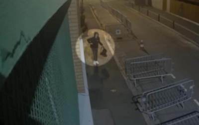  Srbin ostavljao svinjske glave ispred džamija u Parizu 