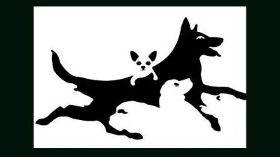  koliko pasa vidite na slici iluzija test 