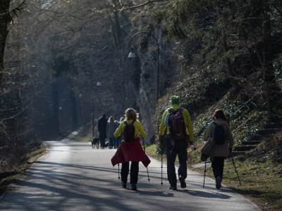  Terapija šumom uvodi se u obrazovni sistem u jednoj školi u Sloveniji 
