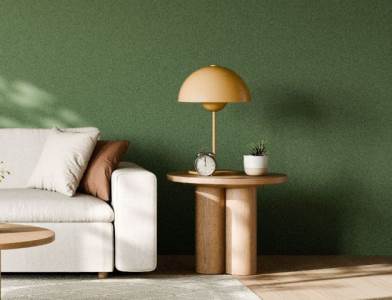  Kako šveđani čiste dom 