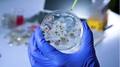  Bakterija pomaže u mršavljenju 