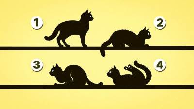  Test ličnosti koja je vaša životna svrha 