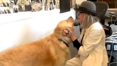  Dajan Kiton navodno psu ostavila 5 miliona dolara 