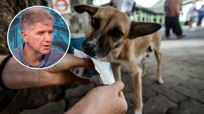  Veterinar ishrana pasa 