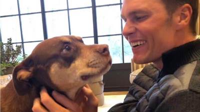  Tom Brejdi klonirao psa 