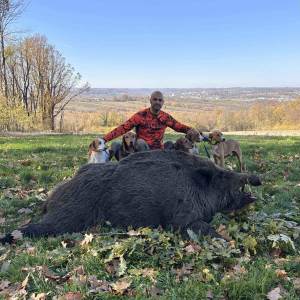  Prnjavorčanin ubio vepra od 224 kilograma 