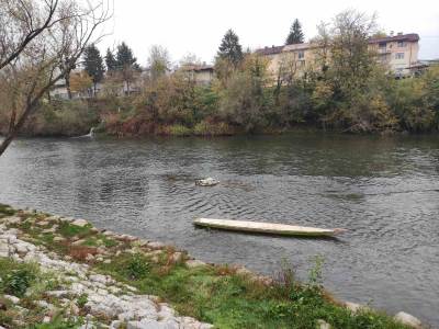  dajak na Vrbasu u Banjaluci 