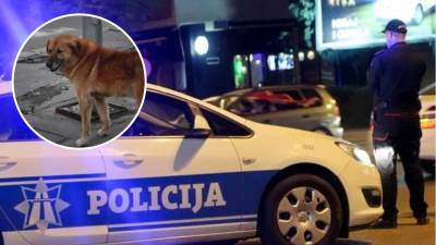  rus optužen za zlostavljanje pasa u podgorici 