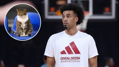  Mačka Ljubica završila kod veterinara 