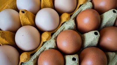  Jaja iz Italije zaražena Salmonelom distribuirana u Hrvatsku i Sloveniju 