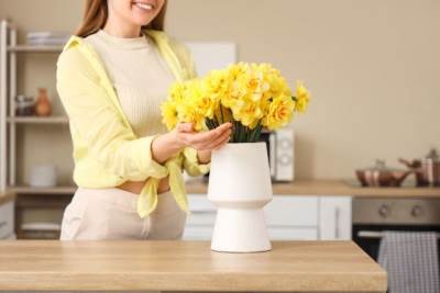  Biljke koje ne treba držati u kuhinji 