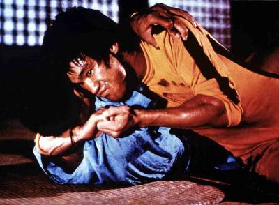  uzrok smrti brusa lija 