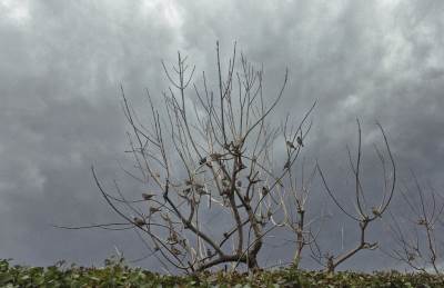  Prognoza vremena i stanje na putevima 