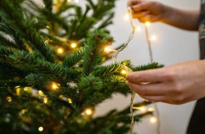  Kako da vještačka jelka izgleda raskošno 