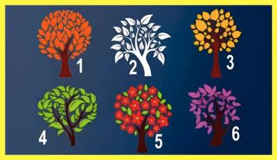  Test ličnosti kako vas drugi vide 