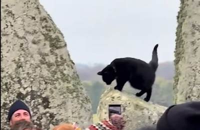  Crna mačka postala hit u Stonhendžu tokom noći zimskog solsticija 