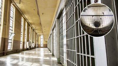  Škaljarac otpočeo štrajk glađu i žeđu u zatvoru u Splitu 