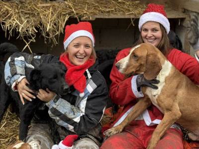  Humanitarni bazar i tombola Udruženja SPAS za pomoć napuštenim psima 
