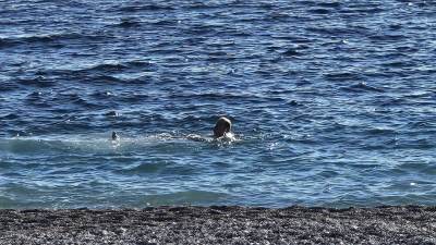  Čovjek se kupa u moru u Budvi 1 januara 