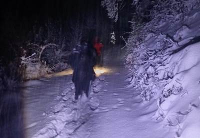  Drama kod Goražda: Spasioci se probijali kroz šumu da spasu četiri državljanke Srbije 