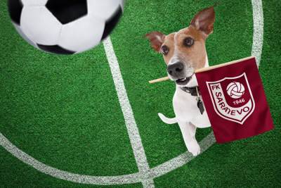  FK Sarajevo: Za 20 KM možete da učlanite i kućnog ljubimca 