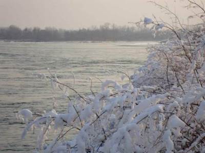  Drina prijeti da se izlije u Bijeljini 