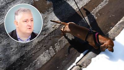  Uticaj hladnoće na pse 