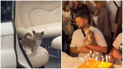  Video psa koji slavi rođendan kao holivudska zvezda 