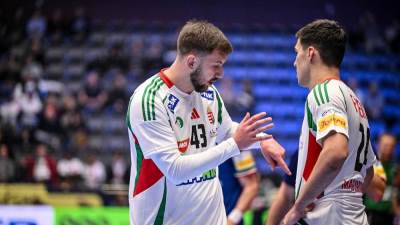  Zoran Ilić i Andrej Pergel igraju za Mađarsku 