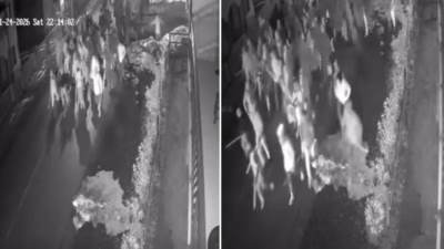  Snimak tuče navijača Hajduka i Crvene zvezde 