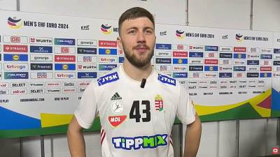  Zoran Ilić nezadovoljan suđenjem na meču Hrvatska - Mađarska 