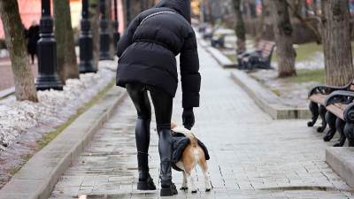  ljudi koji ne bi trebalo da imaju pse 