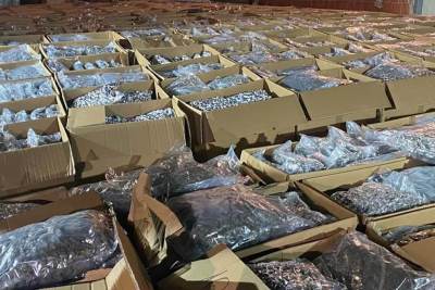  Sjeverna Makedonija istražuje slučaj pet tona marihuane pronađene u Srbiji 