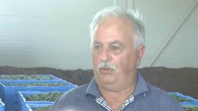  Rade Spasojević iz Kruševca optužen za prodaju marihuane 