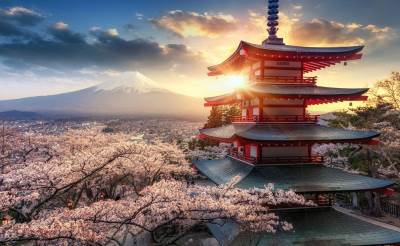  Japanci otkazali festival trešnje zbog turista 