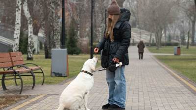  Rase pasa koje žive najkraće 