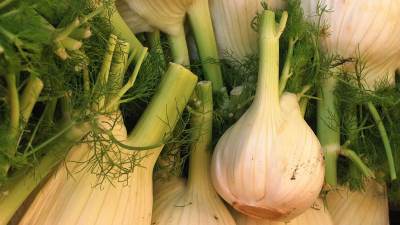  Zašto je komorač zdrav 