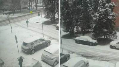  snijeg pada u hrvatskoj, zavijani putevi, padalo drveće 