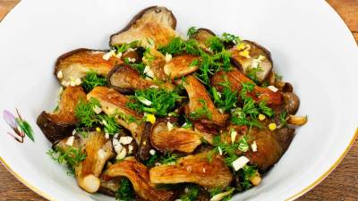  kako se pripremaju pečurke bukovače 