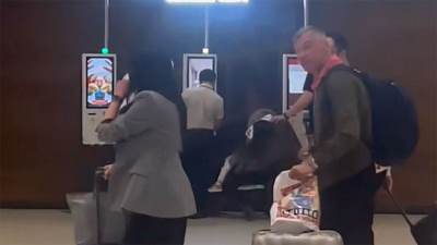  sarunas jasikevicijus napustio dubai 