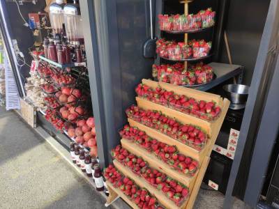  Hercegovačke jagode stigle u Banjaluku 