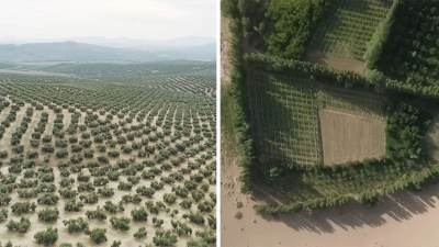  Kako je Kina pretvorila pustinju u ugljenični rezervoar? 