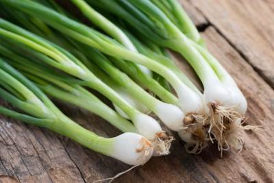  Mladi luk u časi sa vodom 