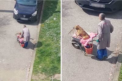  priča o zagrepčaninu koji brine o svom bolesnom i starom psu 