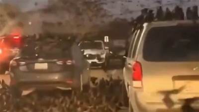  "Predskazanje propasti, često prethodi totalnoj katastrofi": Viralan snimak ptica uznemirio korisnike mreža  (Video) 