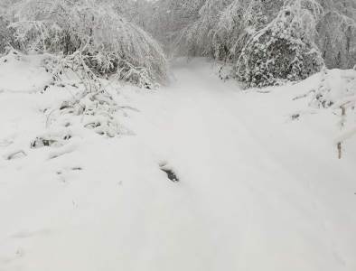  Dio Novog Grada bez struje, u jednoj školi otkazana nastava 
