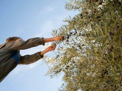  Da li ste čuli za OLEO turizam? 