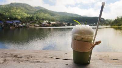  Da li je mača zdrava 